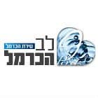 לב הכרמל