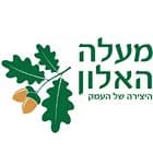 מעלה האלון