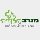 מנרב הצעירה