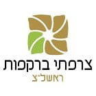 צרפתי ברקפות