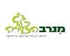 מנרב הצעירה