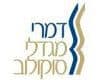 מגדלי סוקולוב
