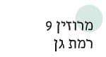 הרב מרוז'ין 9