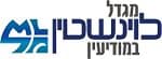מגדל לוינשטין