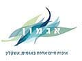 אגמון