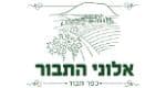 אלוני התבור
