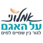 אמלוני על האגם