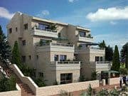 ברקן הירוקה