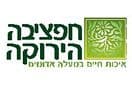 חפציבה הירוקה