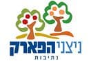 ניצני דמרי- י.ח. דמרי