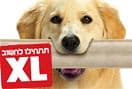 דורי dream- א.דורי