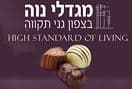 מגדלי נוה