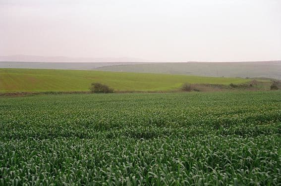 Gallery image 1