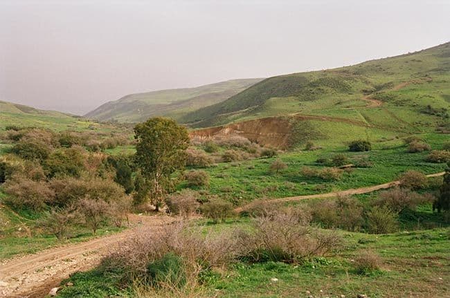 Gallery image 3