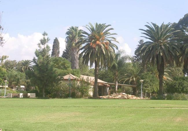 Gallery image 3