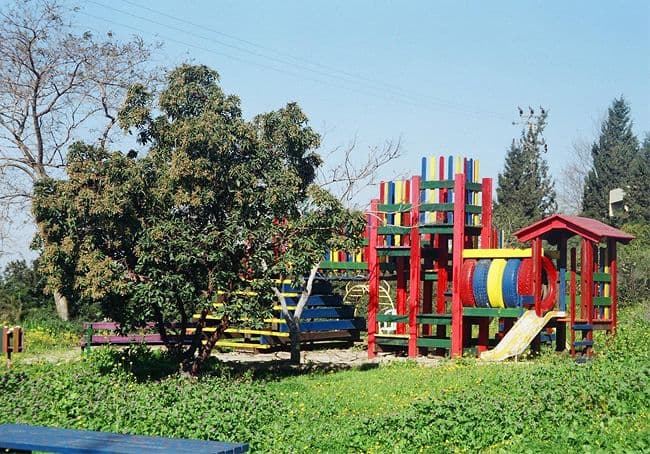 Gallery image 1