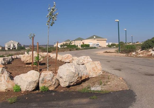 Gallery image 3