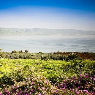 מיישבי הגליל בונה פרויקט של בתי קיט שצופים לכנרת בשם מצפה בראשית